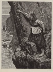 The Samphire Gatherer